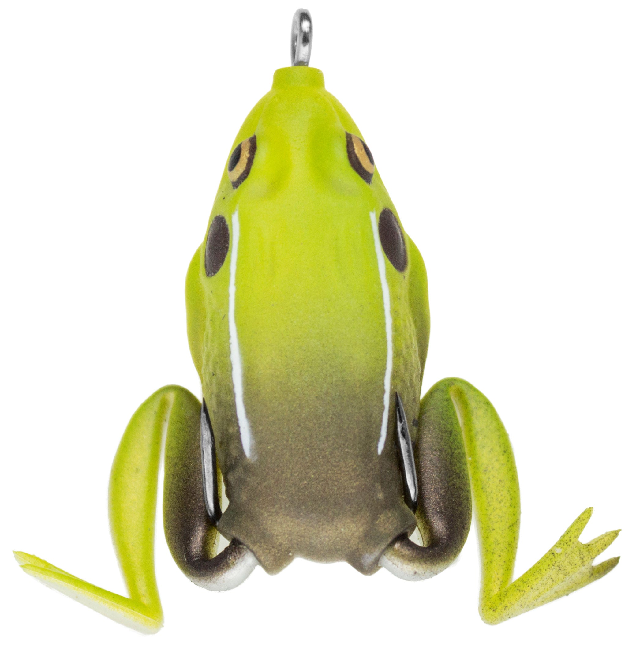 Pocket Frog_King Toad