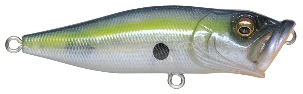 PopX_GP Sexy Shad