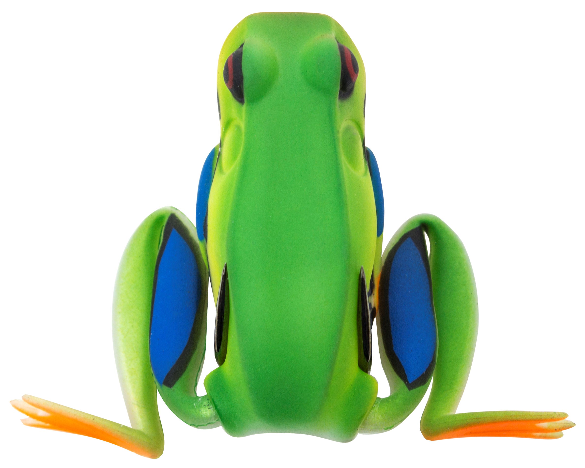 Popping Frog_Tree Frog