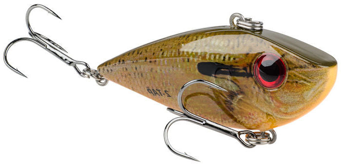 Red Eyed Shad Tung. 2-Tap_Orange Bream