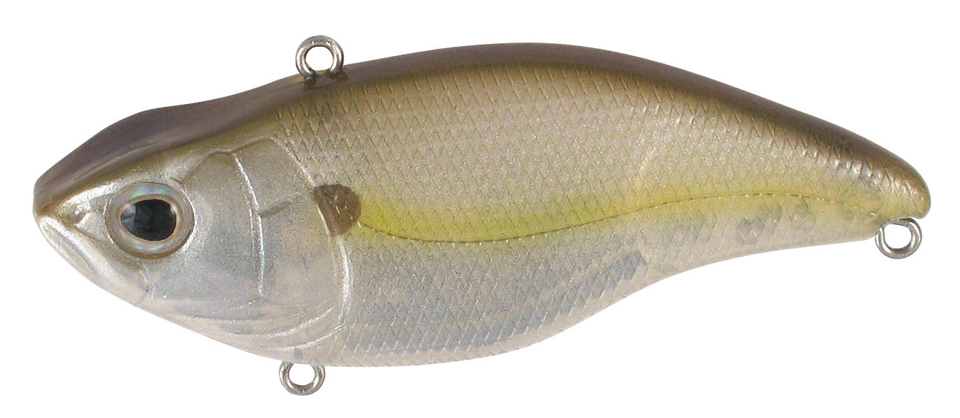 Aruku Shad Jr._Clear Chartreuse