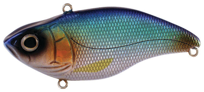 Aruku Shad_Blue Shiner