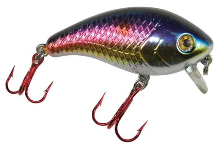 Baby 1 Minus_Elite American Shad
