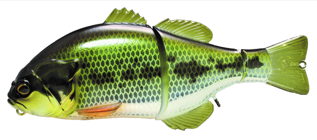 Gantarel Jr_Scale Bass*