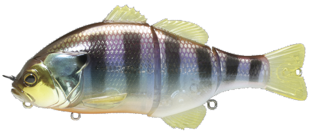 Gantarel Jr_Scale Gill