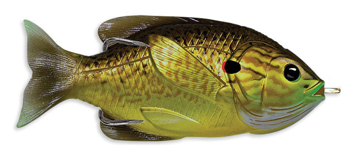 Hollow Body Sunfish_Bronze Pumpkinseed