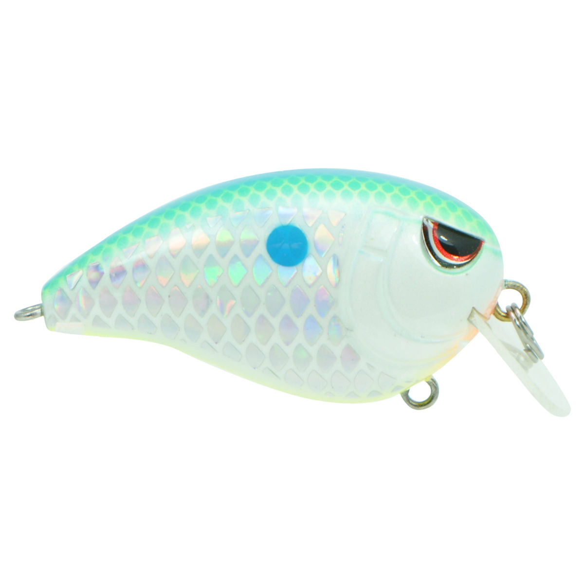 Fat John 50_Citrus Shad