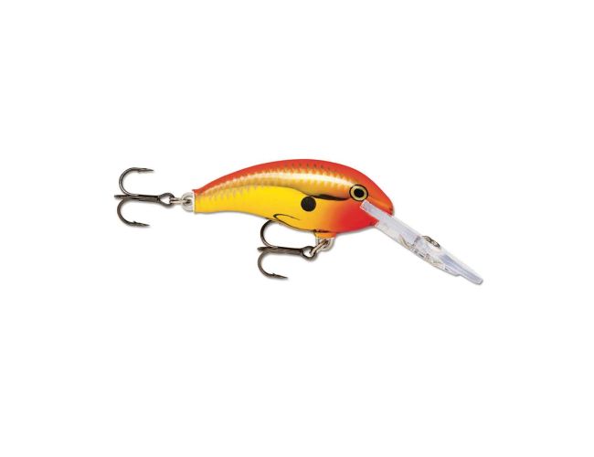 Shad Dancer_Chrome Gold Fluorescent Red
