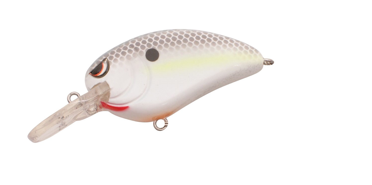 Little John MD 50_Nasty Shad