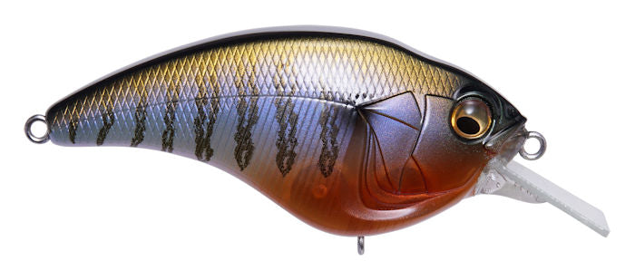 Sonicside Squarebill_Secret Gill