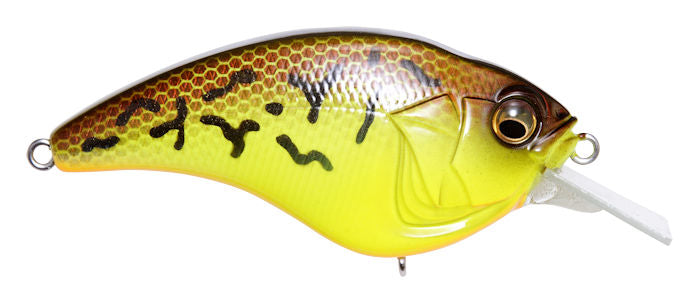 Sonicside Squarebill_Chartreuse Dust