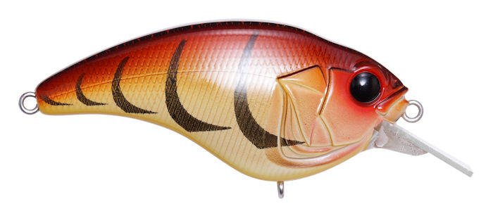 Sonicside Squarebill_Tora Zari