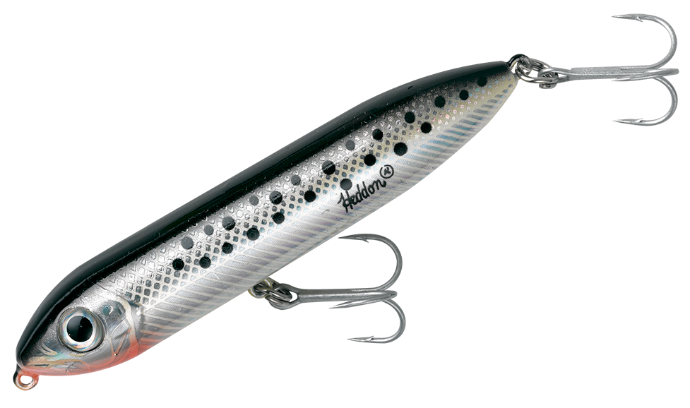 Super Spook Jr._Speckled Trout