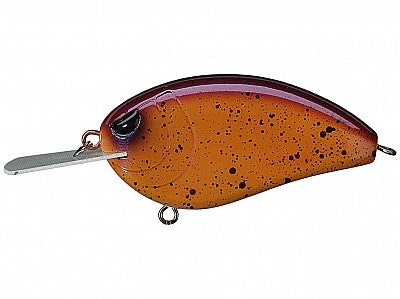 Little John XL 70_Spicy*