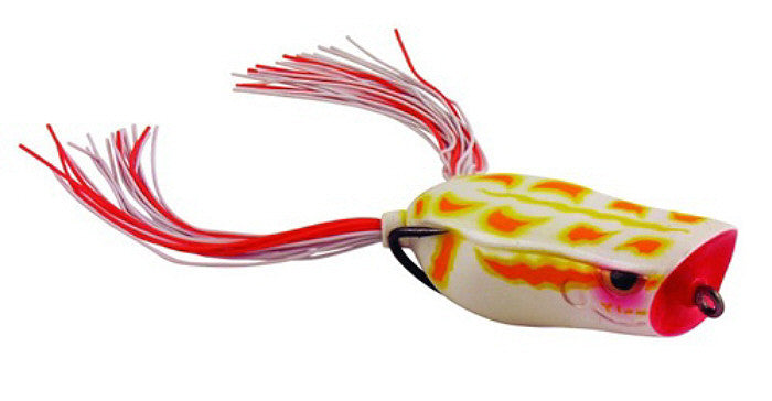 Bronzeye Poppin Frog_Tropical White