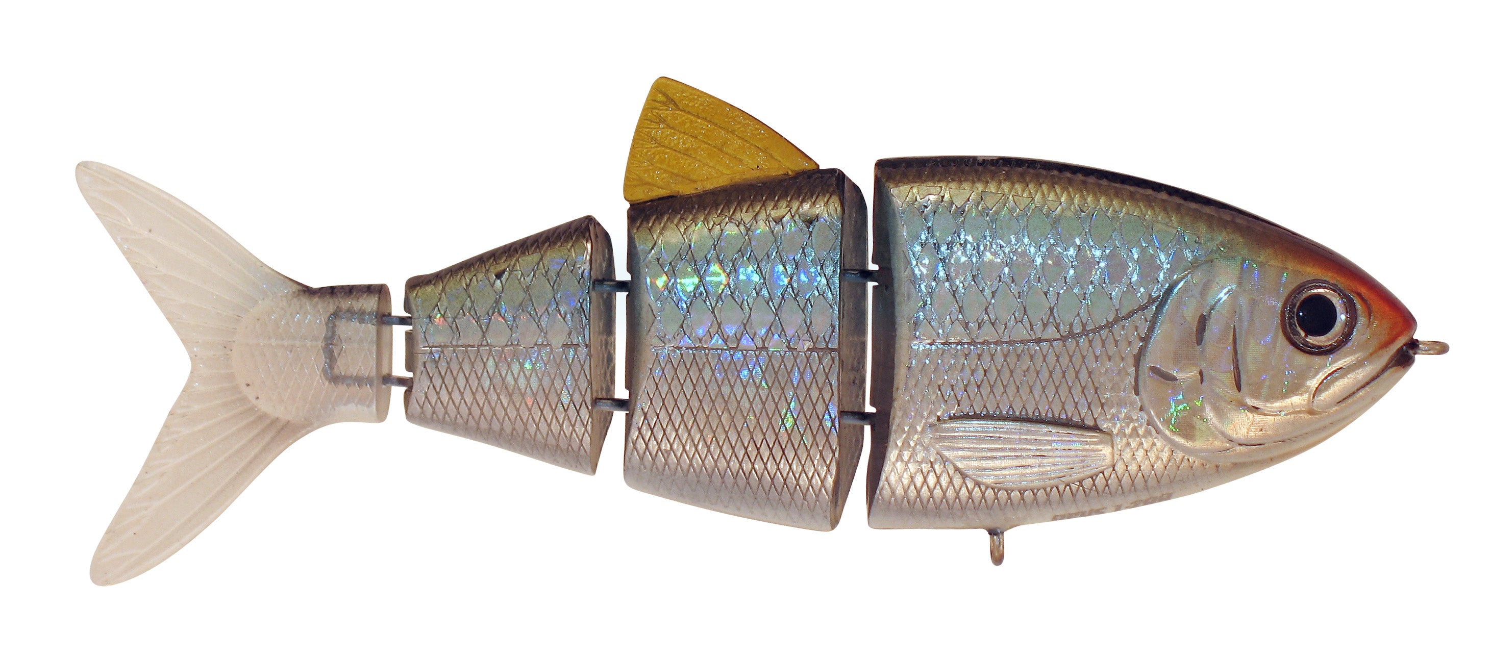 BBZ 1 Shad_Blue Back Herring*