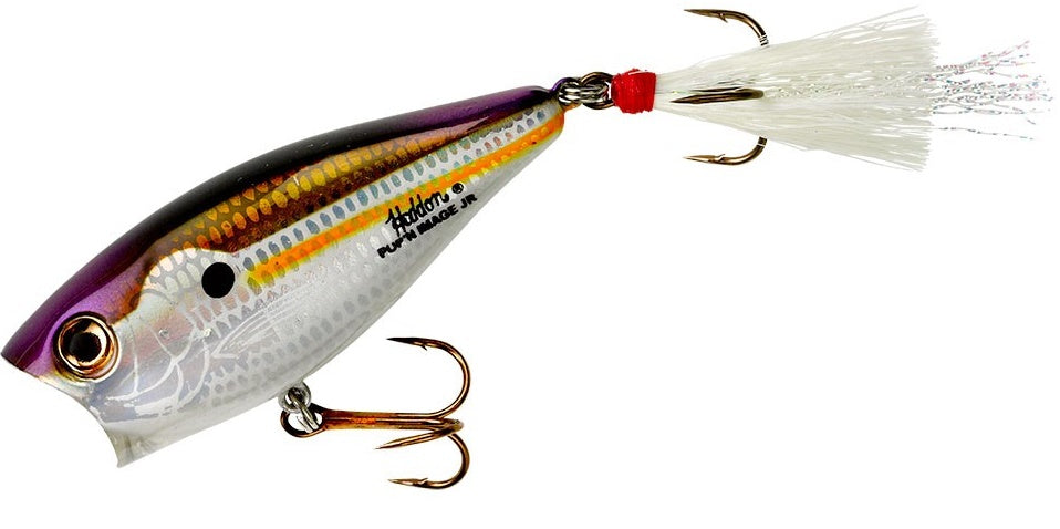 Pop'N Image_Tennessee Shad