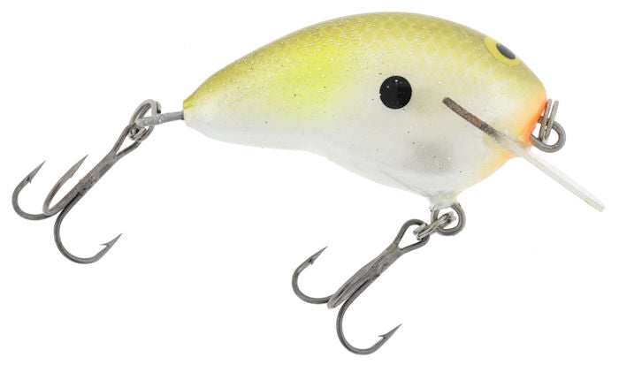 Tiny Hunter Squarebill_Magic