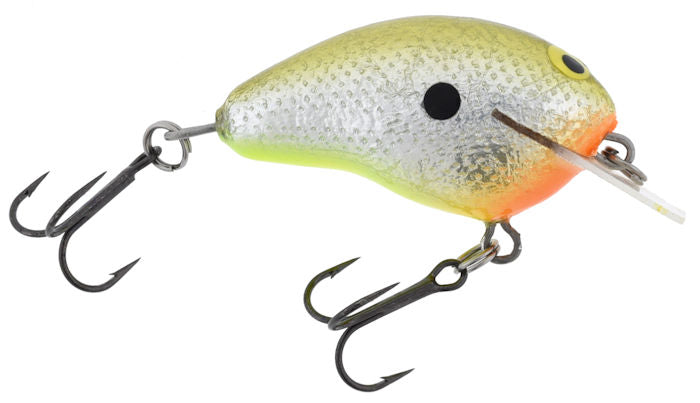 Tiny Hunter Squarebill_Money