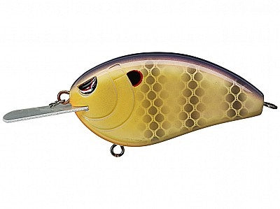 Little John XL 70_Tropical Perch*
