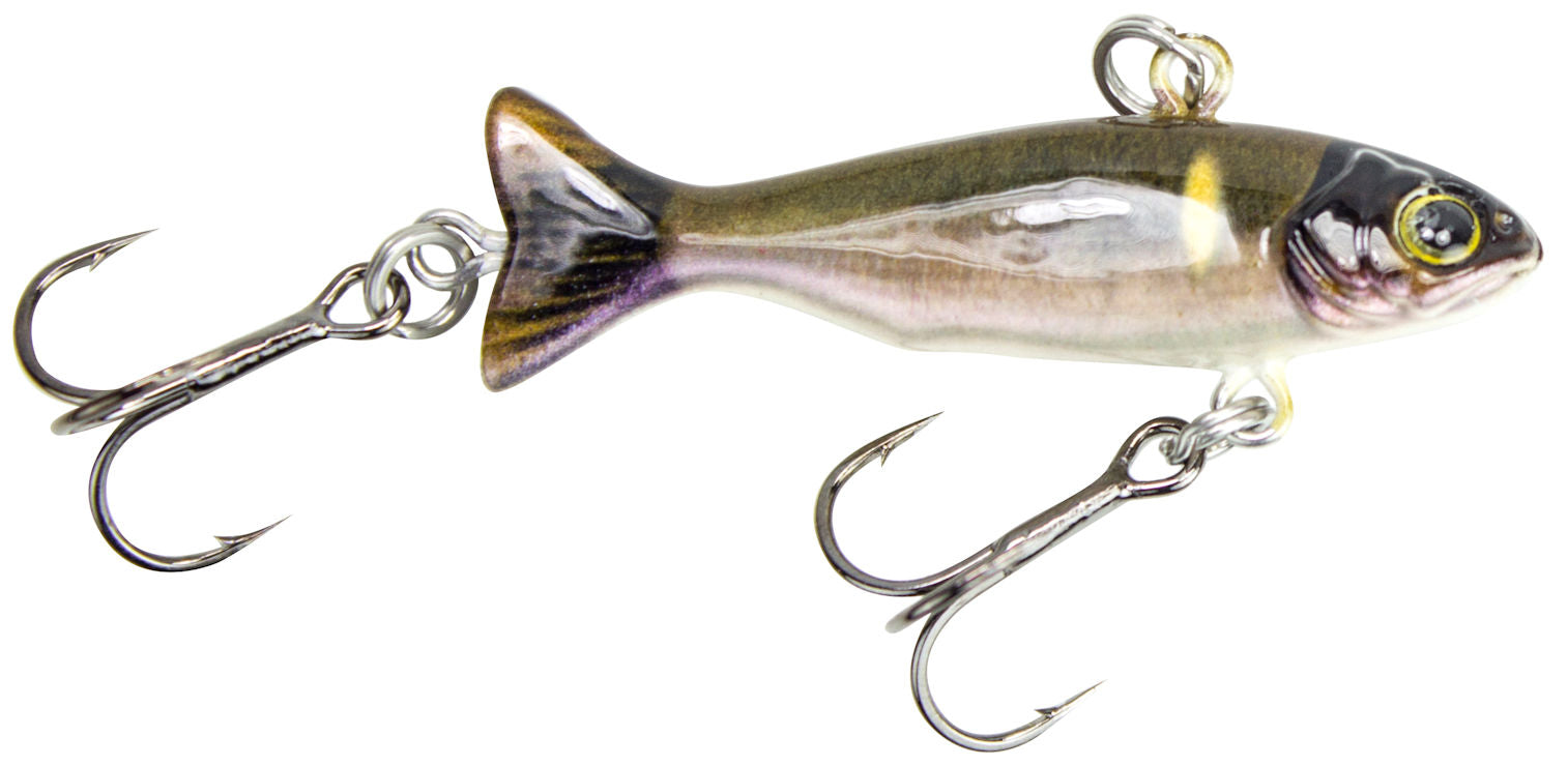 True Bait_Common Shiner