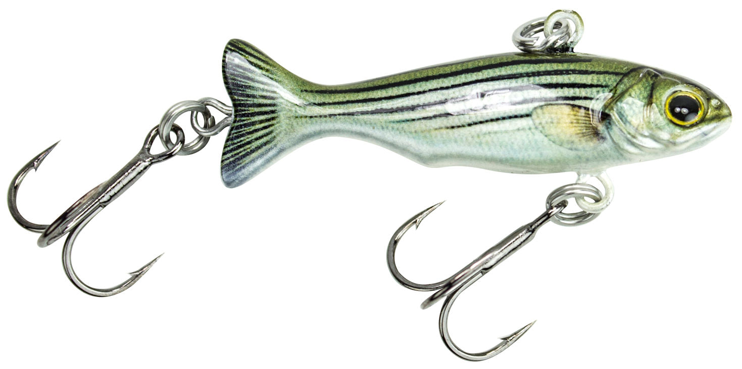 True Bait_White Bass