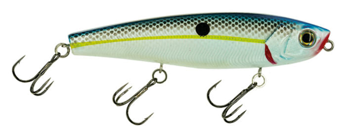 Top Water Baitfish_Charming Shad*