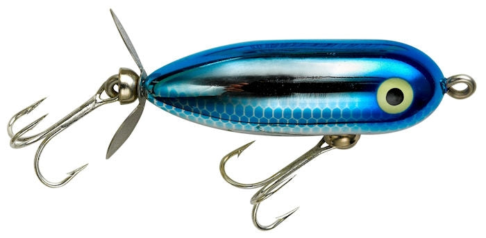 Tiny Torpedo_Blue Shiner