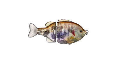Topwater Baits