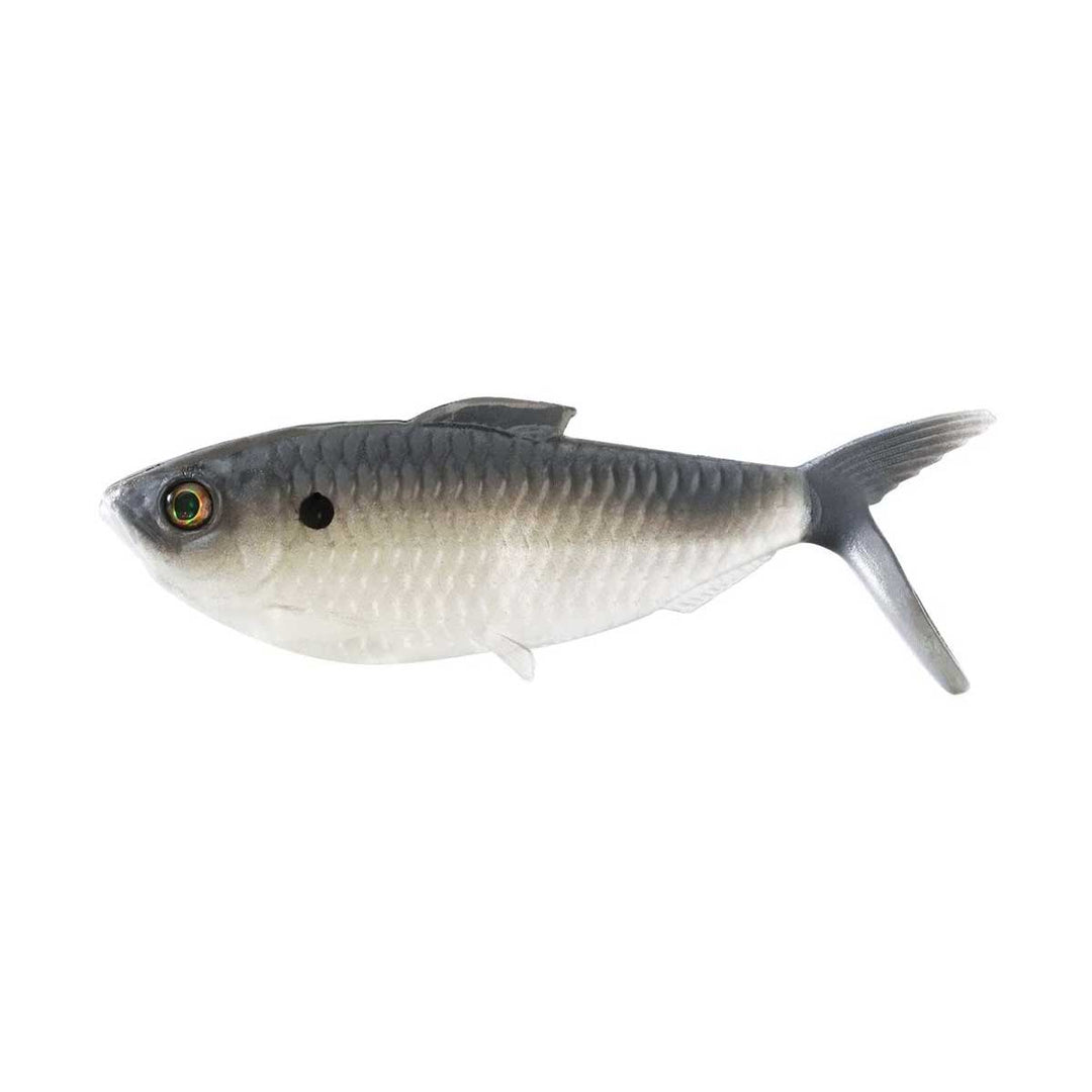 13 Fishing The Dine