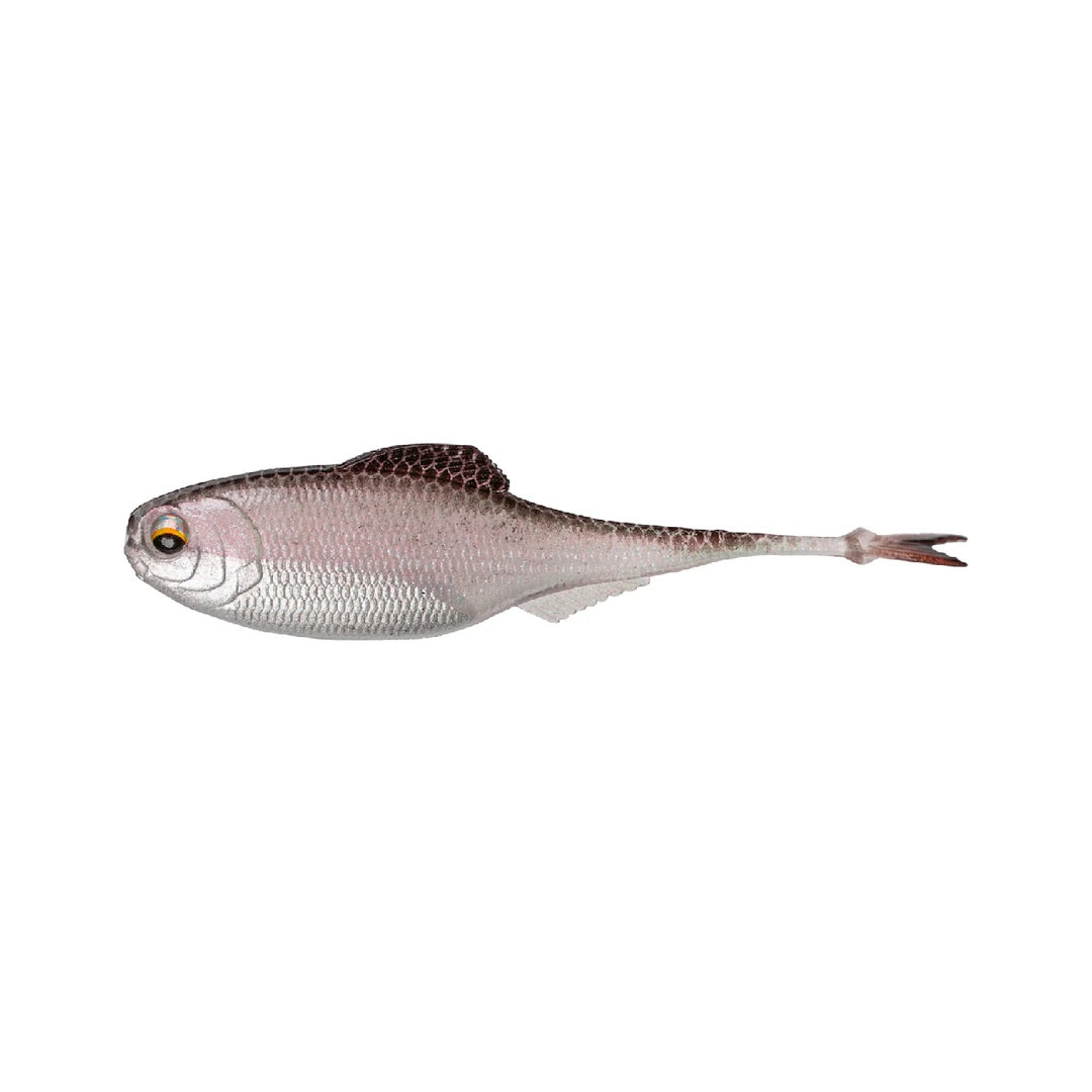 6th Sense Masterclass Fiction Shad
