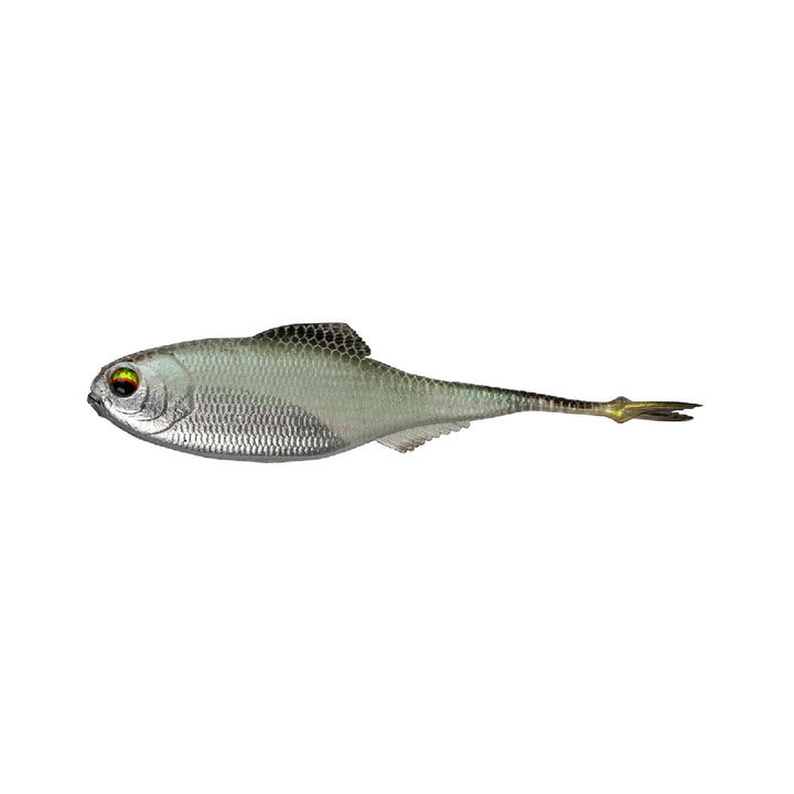 6th Sense Masterclass Fiction Shad
