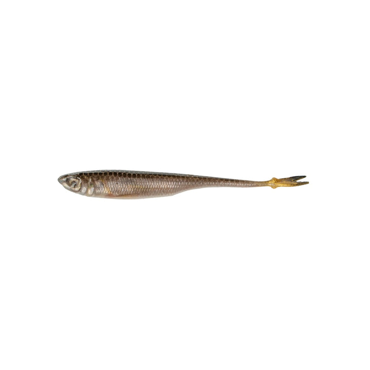6th Sense Masterclass Strobe Minnow
