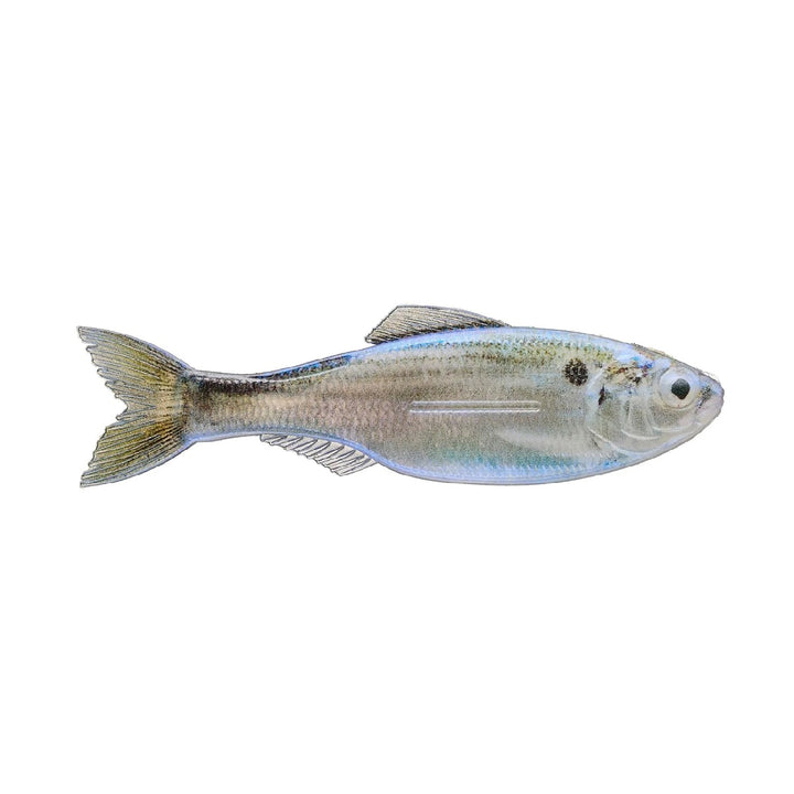 6th Sense Plump Panorama 5.0