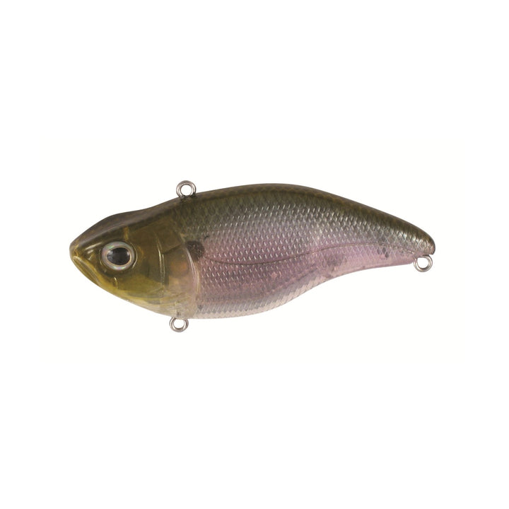 Spro Aruku Shad Jr.