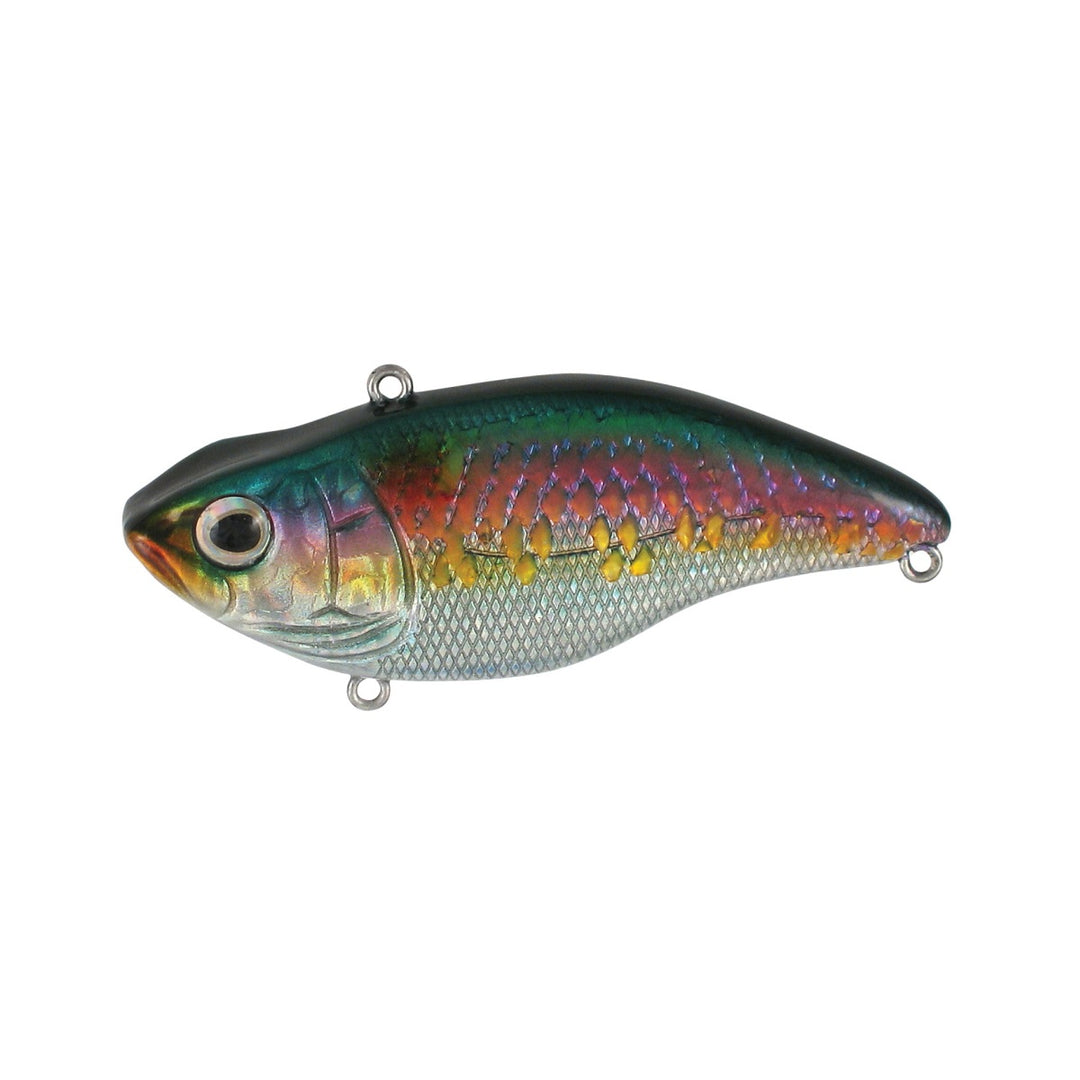 Spro Aruku Shad