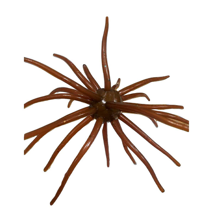 Bokar Bearded Wonder Prickly Pear creature bait