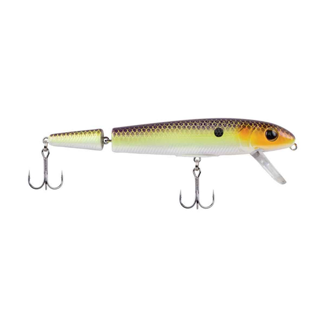 Berkley Surge Shad Jointed topwater wake bait for bass fishing