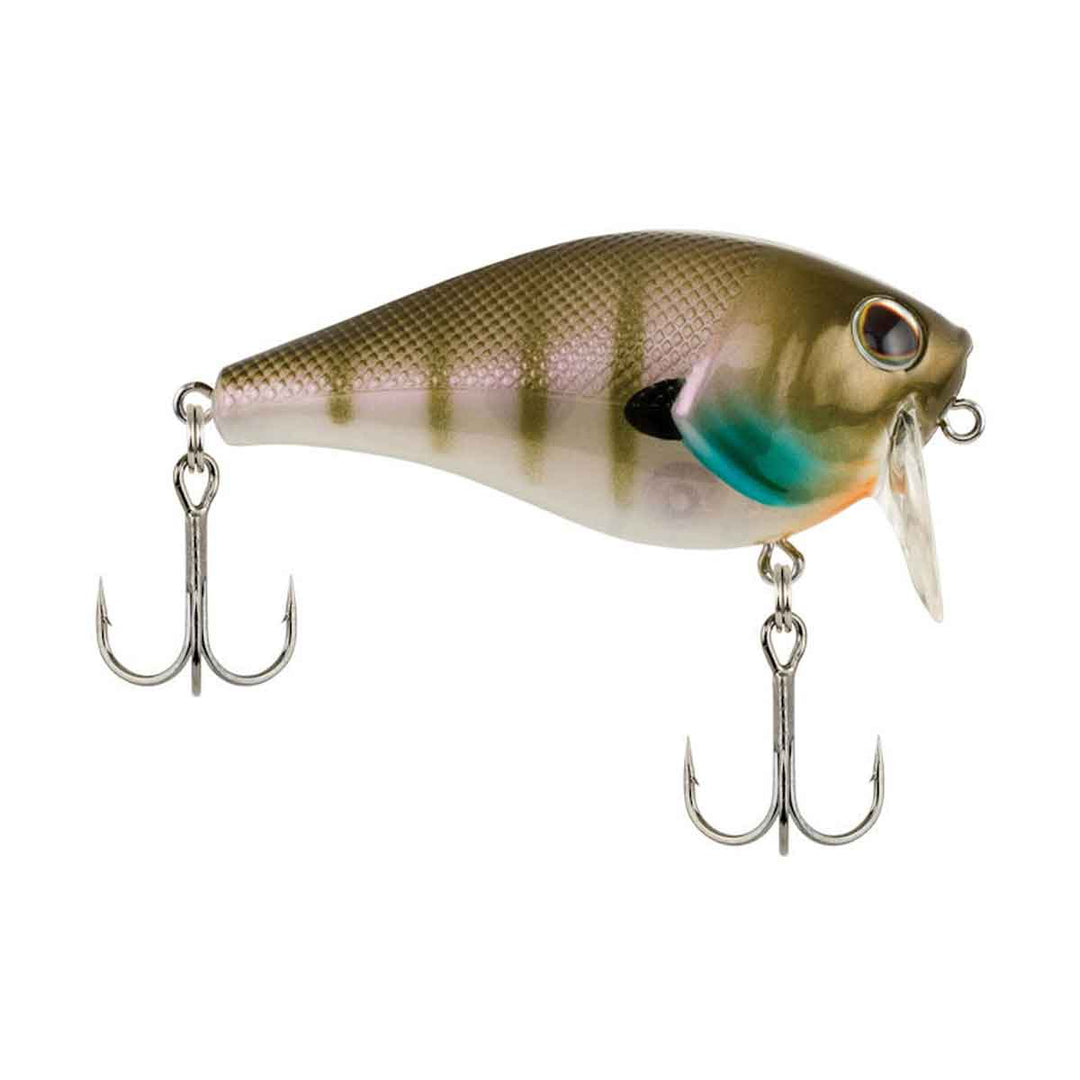 Berkley WakeBull topwater wake bait for bass fishing around shallow cover