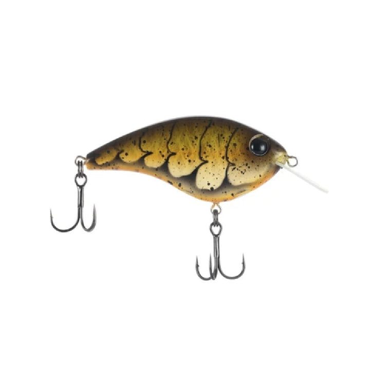 Berkley Frittside X 5 Biggun&