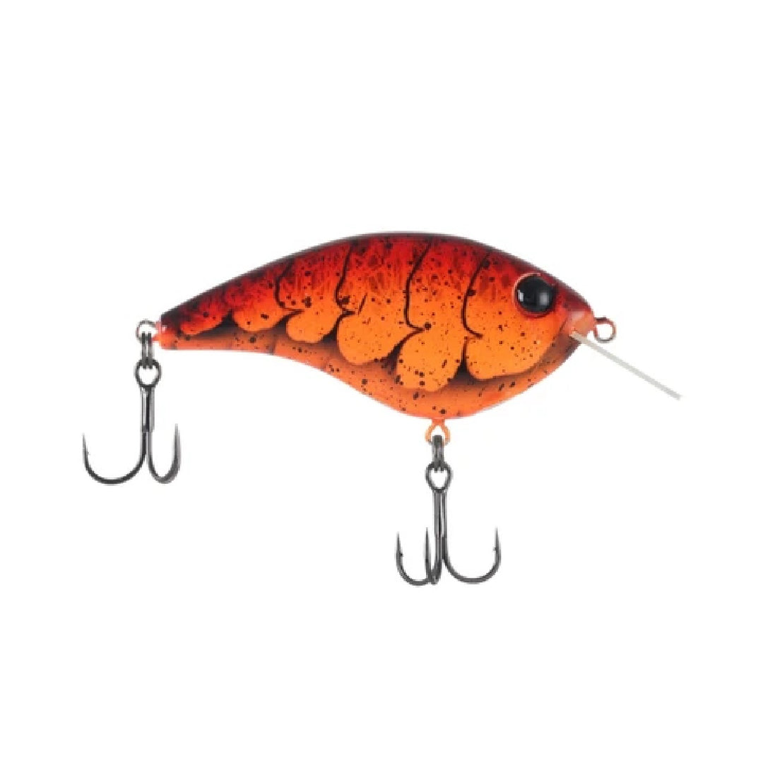 Berkley Frittside X 5 Biggun&
