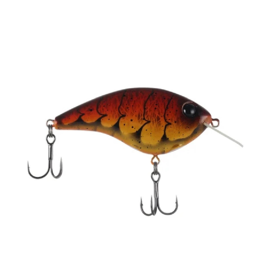 Berkley Frittside X 5 Biggun&