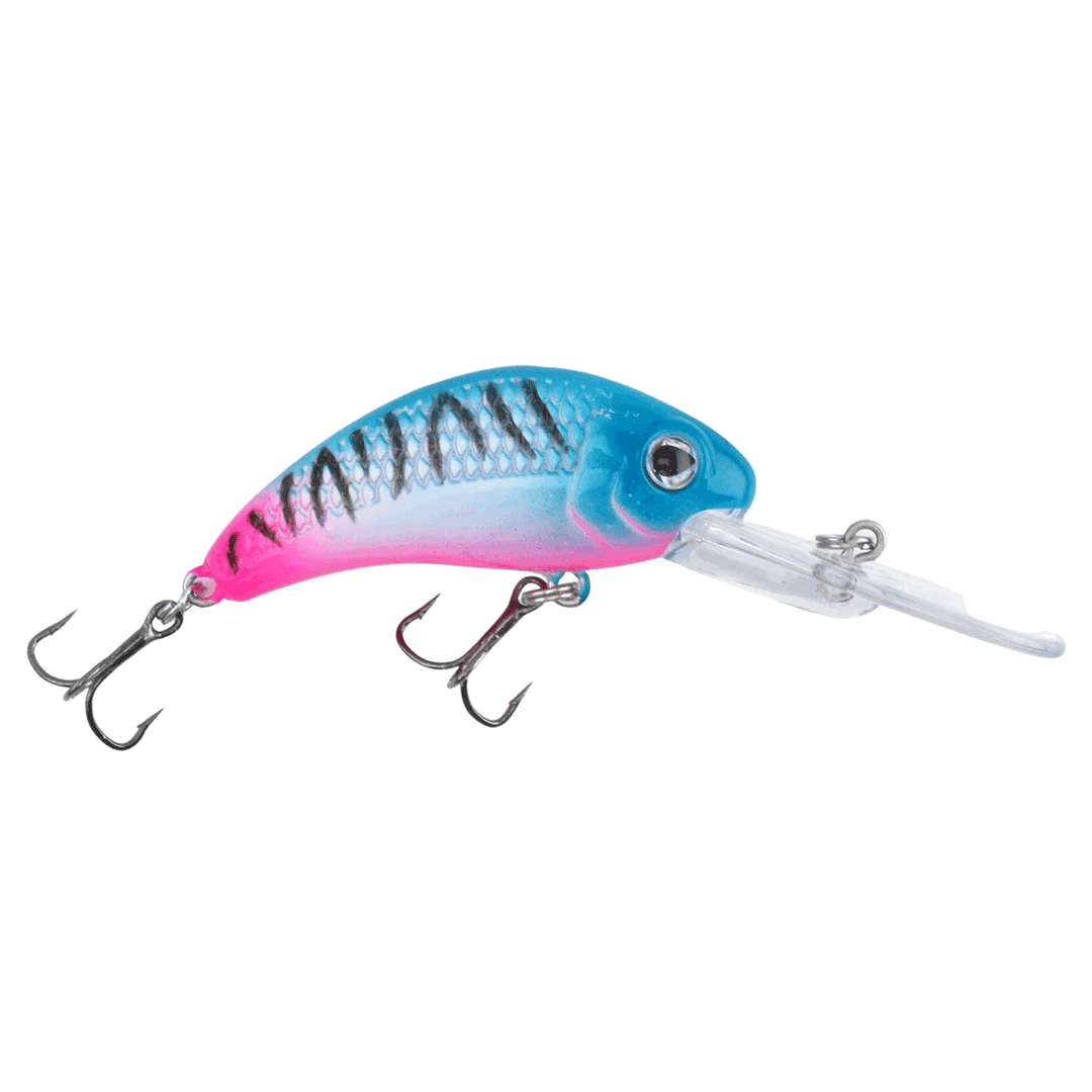 Walley Nation Boogie Shad