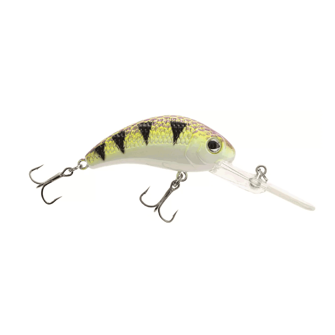 Walley Nation Boogie Shad