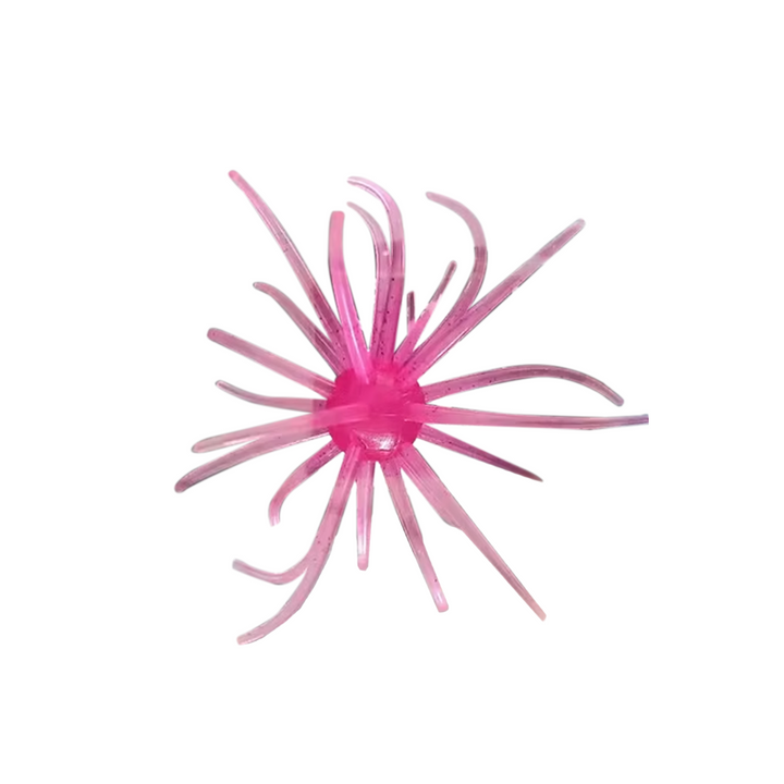 Hag's Prickly Pear - Fishermans Central