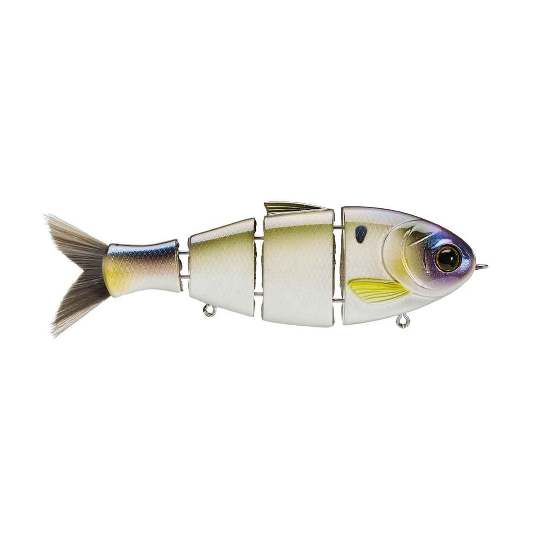 Mike Bucca Bull Shad Swimbait – Handcrafted, Realistic Swimbait for Trophy Bass – Fishermans Central