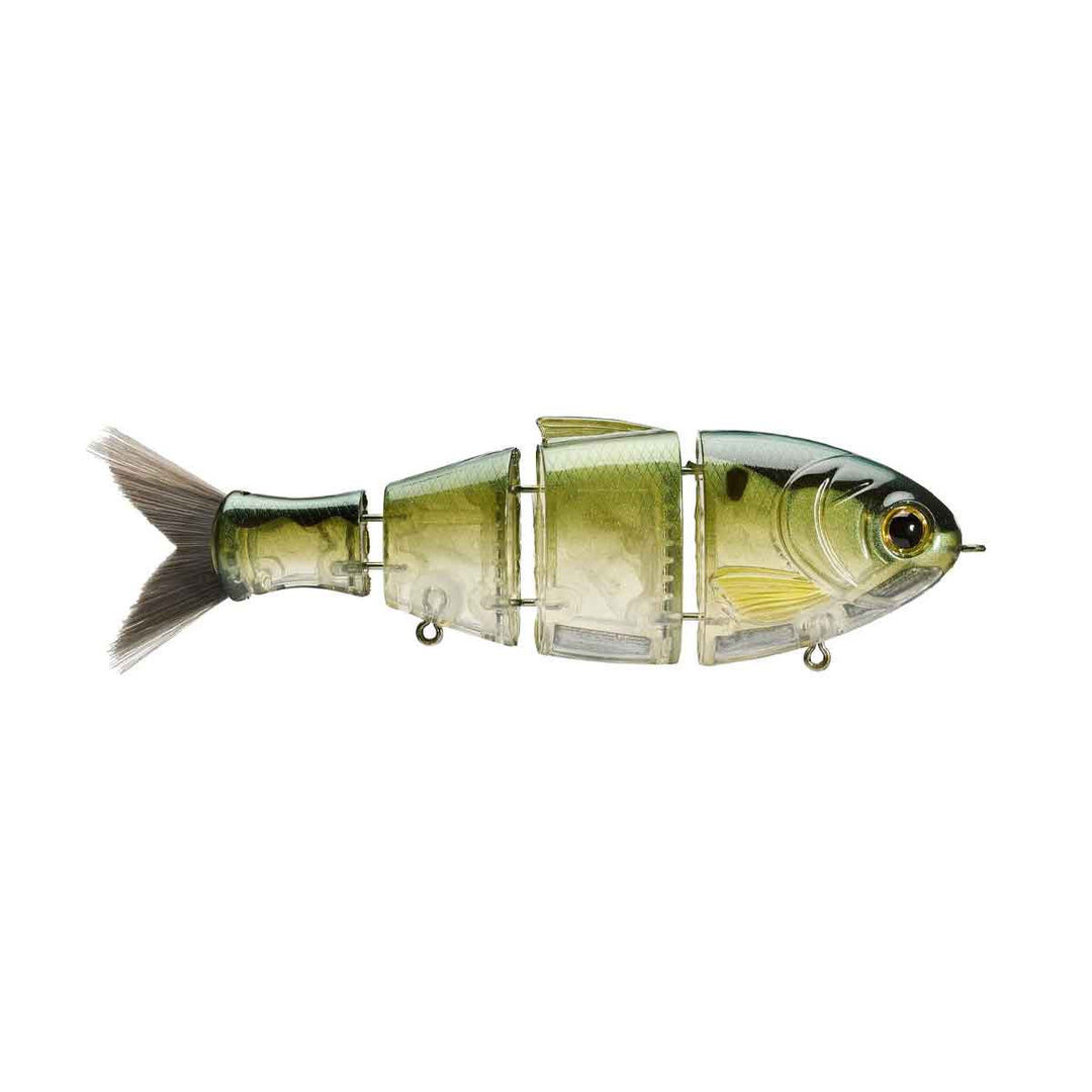 Bucca Bull Shad*