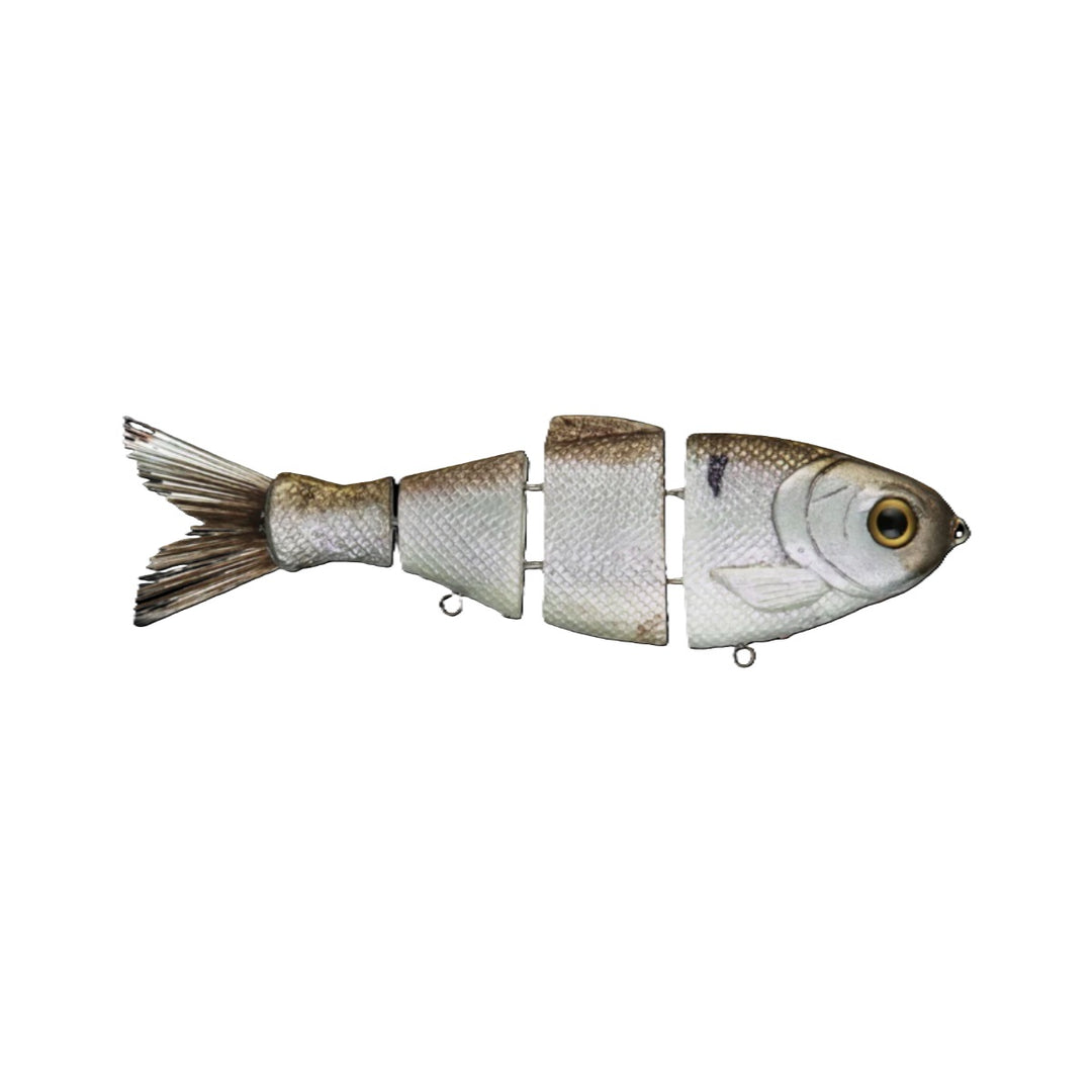 Bucca Bull Shad