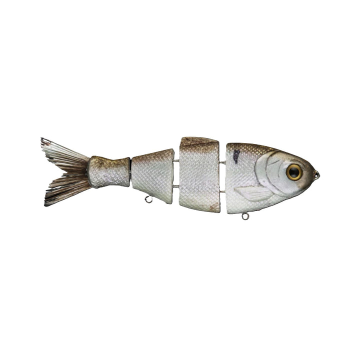 Bucca Bull Shad