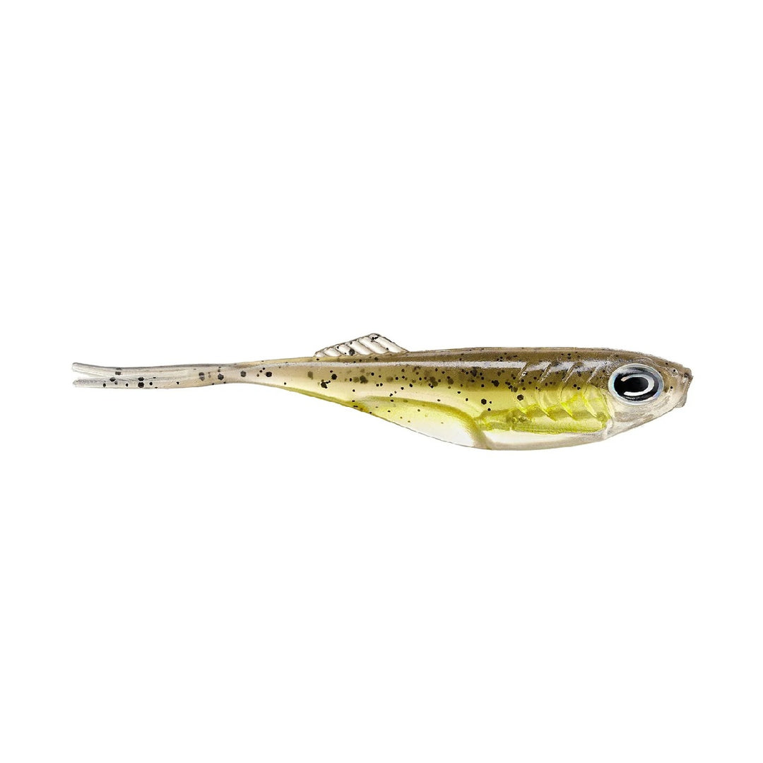 Cast Fishing Echo Minnow